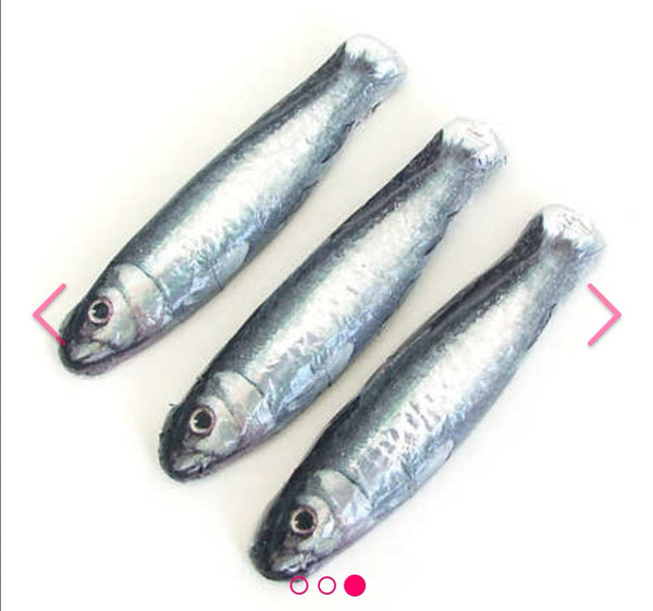 Boîte sardine